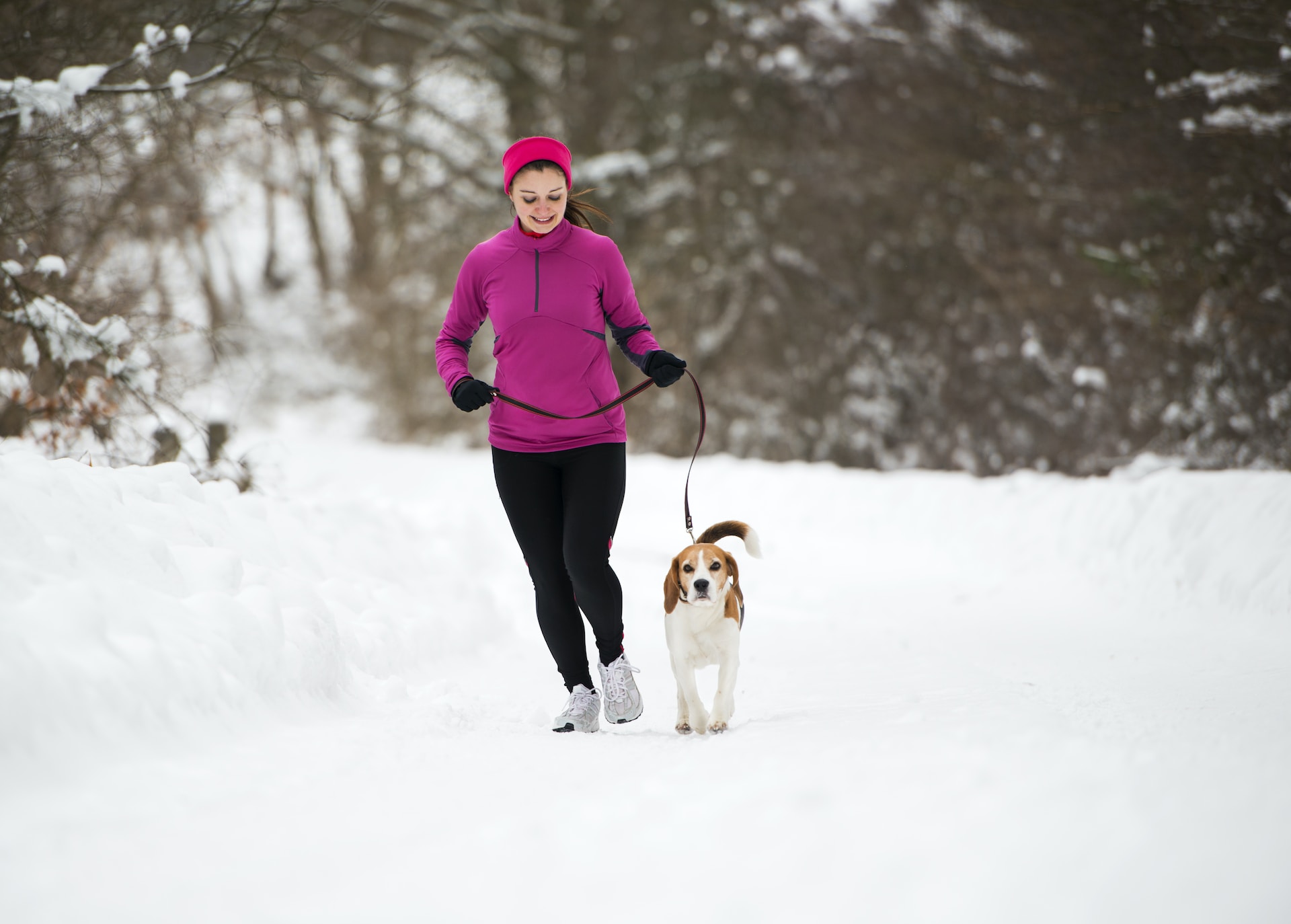 A woman running in the snow with a Beagle on leash