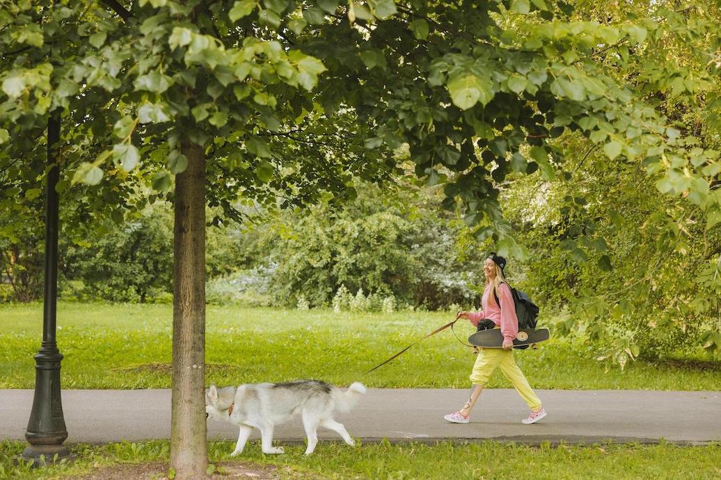 Frau geht mit Husky angeleint in einem Park spazieren
