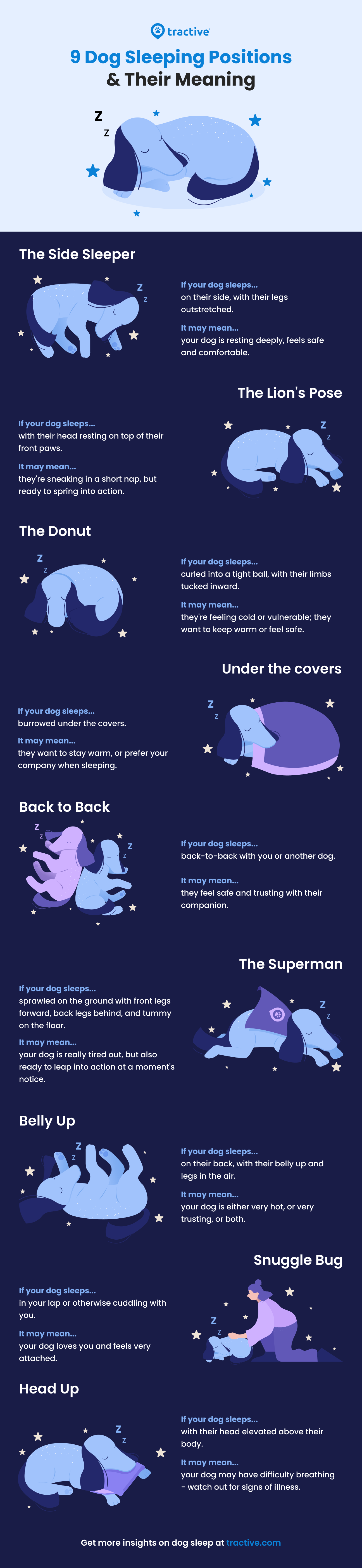 Infographic Dog Sleeping Positions
