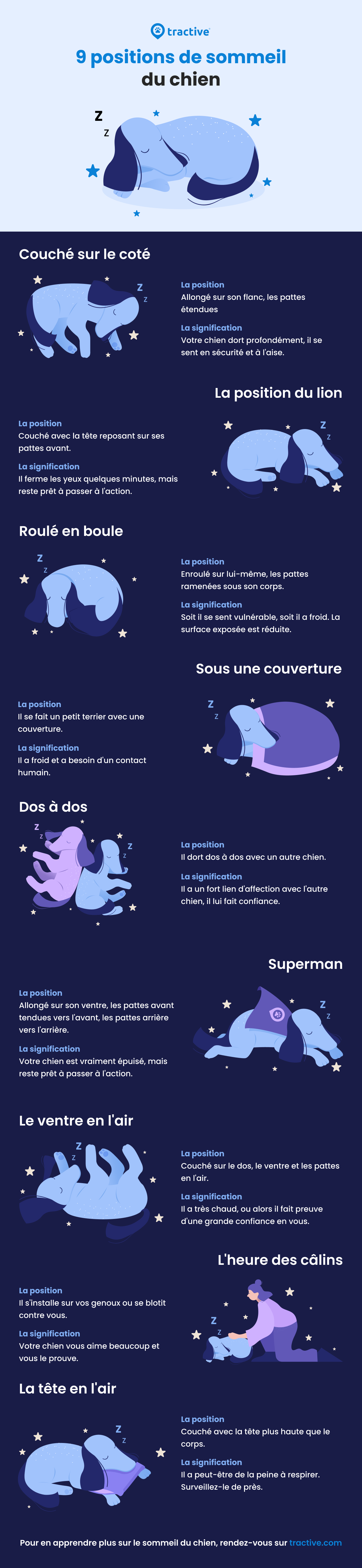 Infographie : Les positions de sommeil des chiens