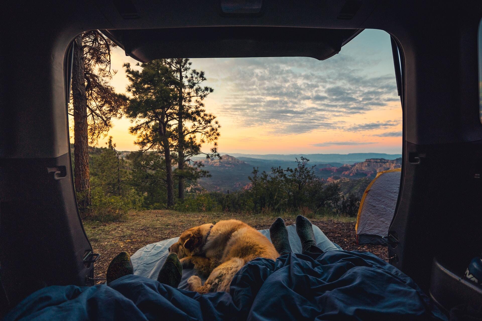 Een hond slaapt buiten een tent met uitzicht op een berglandschap