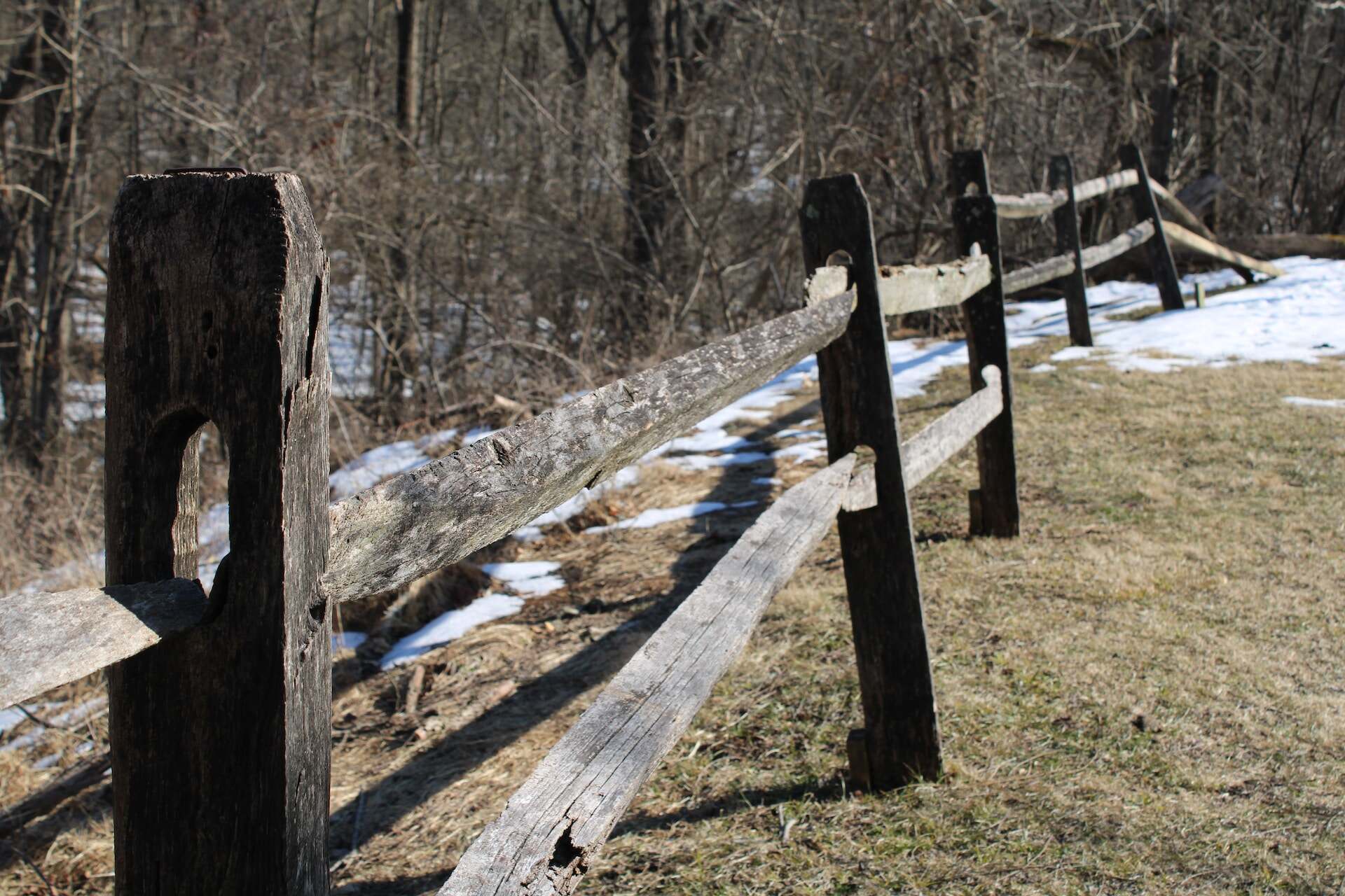 A split rail fence in a snowy forest