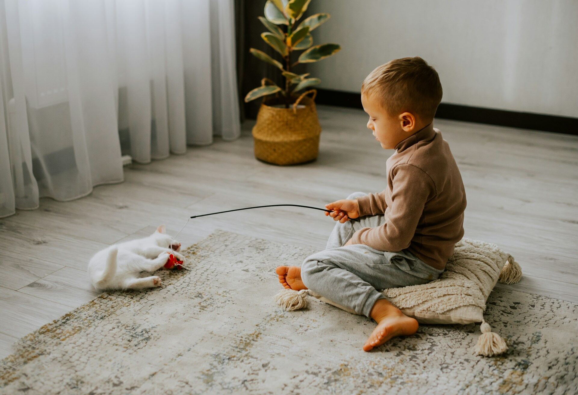 A child and cat playing with a string toy indoors