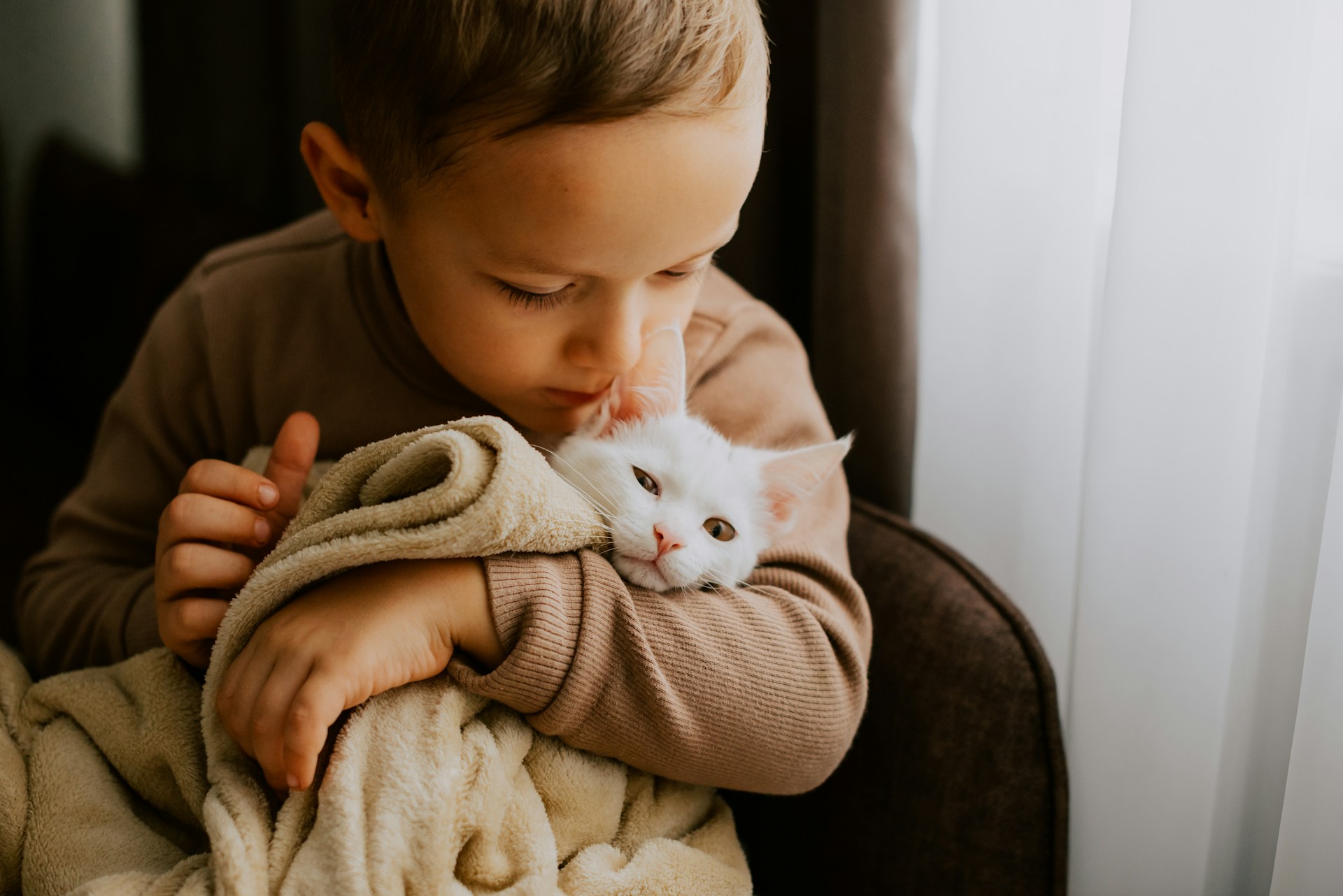A child cuddling a white cat in a blanket indoors