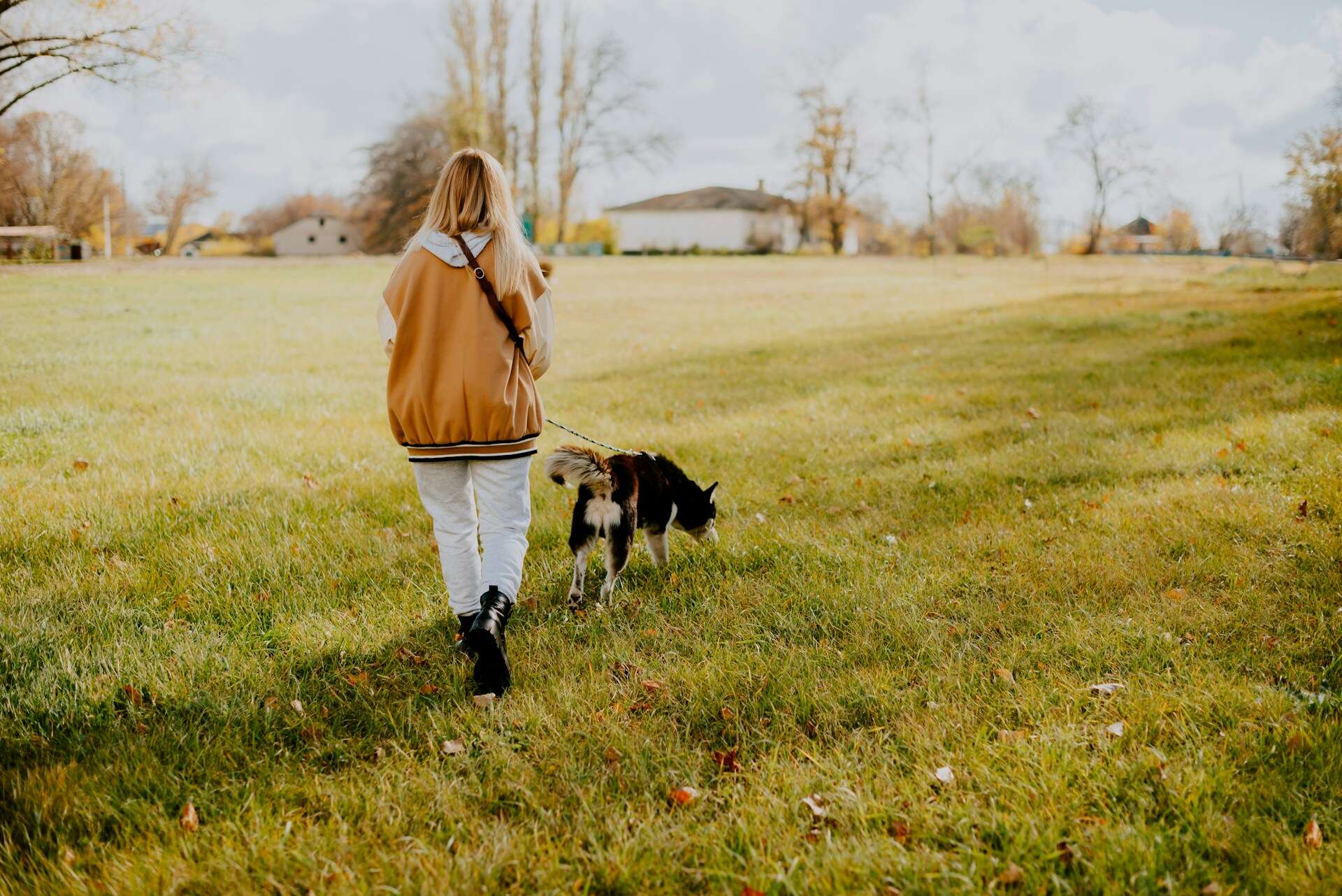 A woman walking her dog in a grassy field