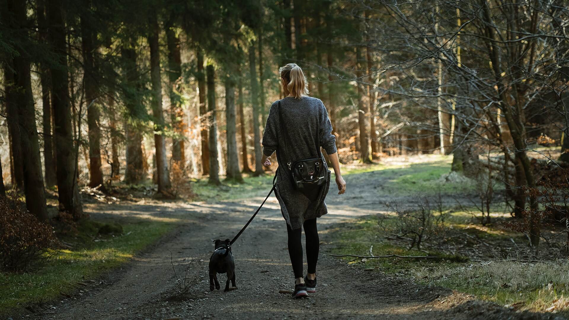A woman walking her dog in the woods