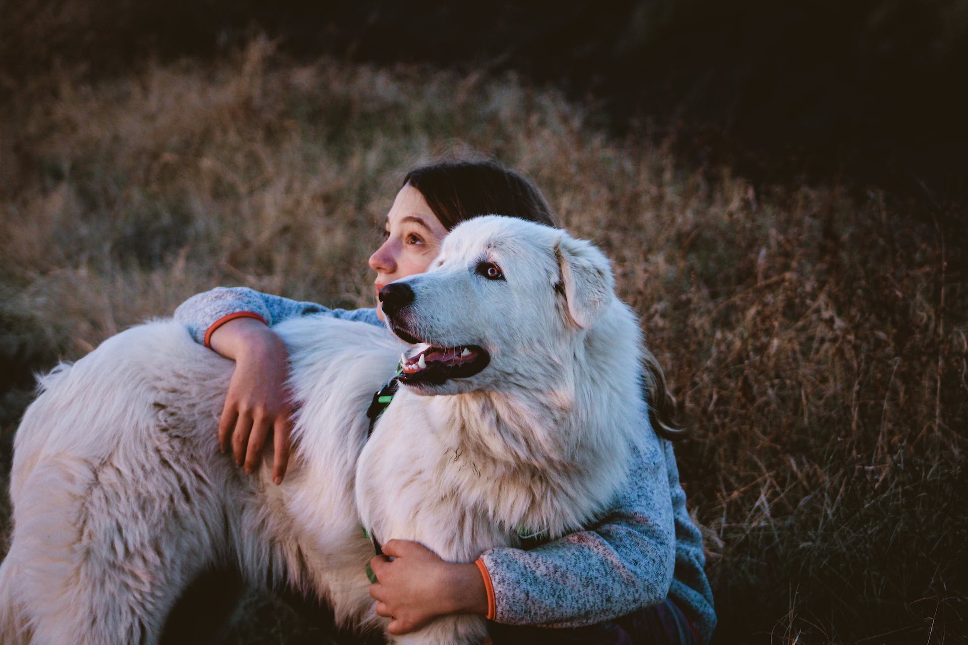 A woman hugging a Great Pyrenees dog in a field