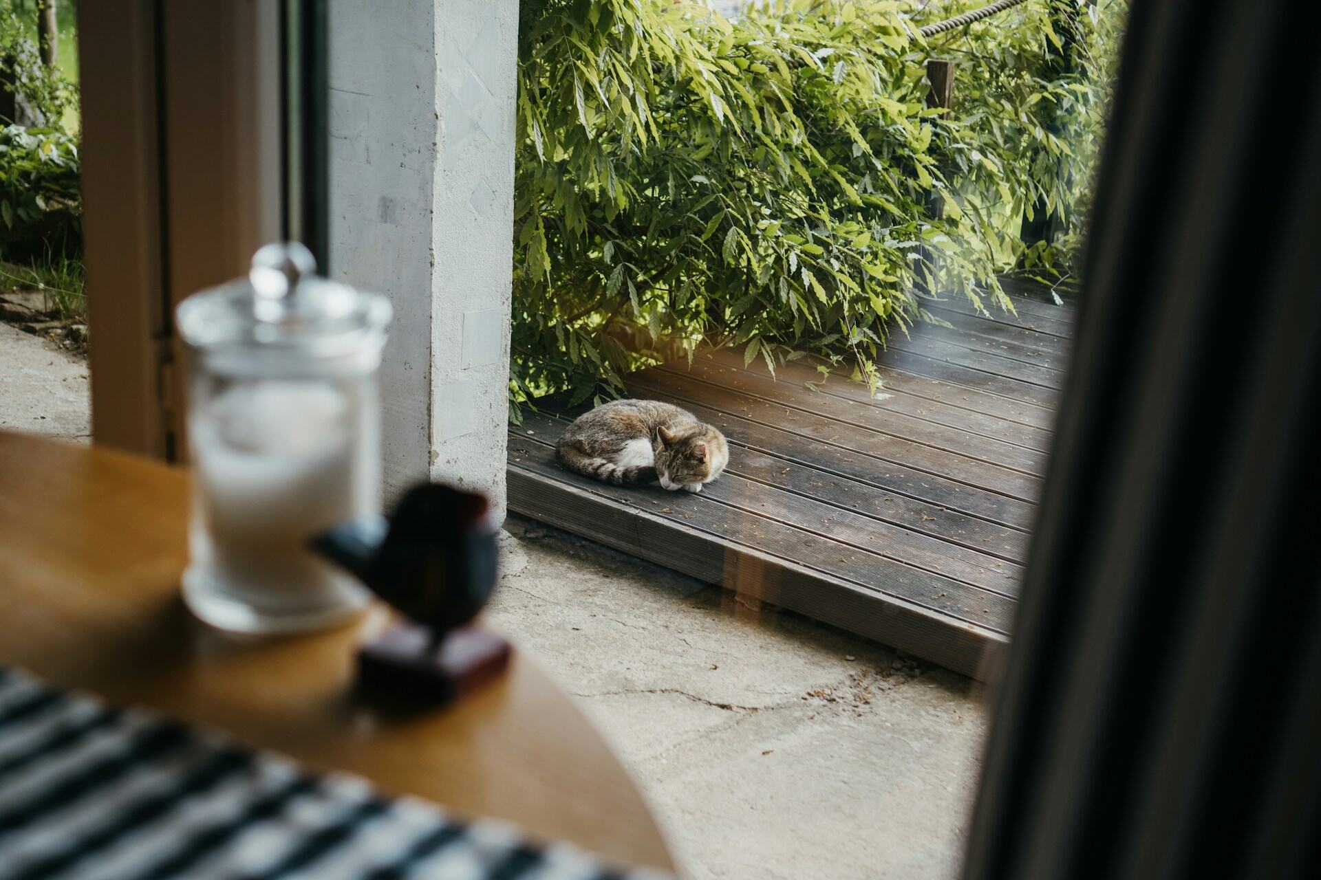 A cat sleeping outdoors on a wooden lawn deck