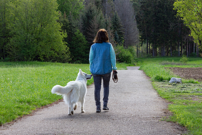 Frau geht mit weißem Schäferhund ohne Leine im Wald spazieren