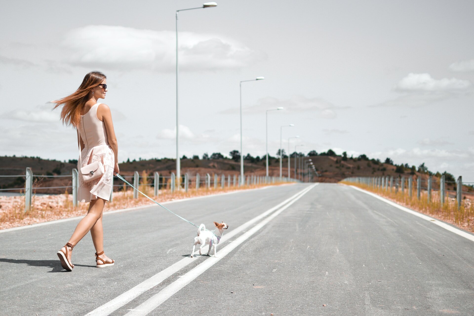 A woman walking her dog on a street on a sunny day