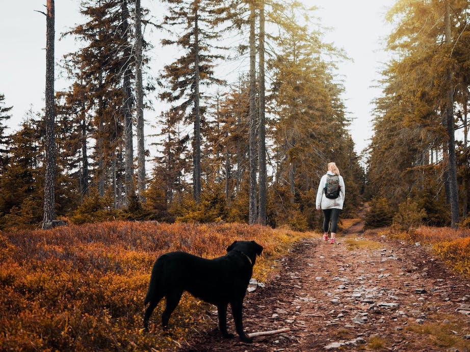 Frau geht mit Hund an einem Herbsttag einen Wanderweg entlang