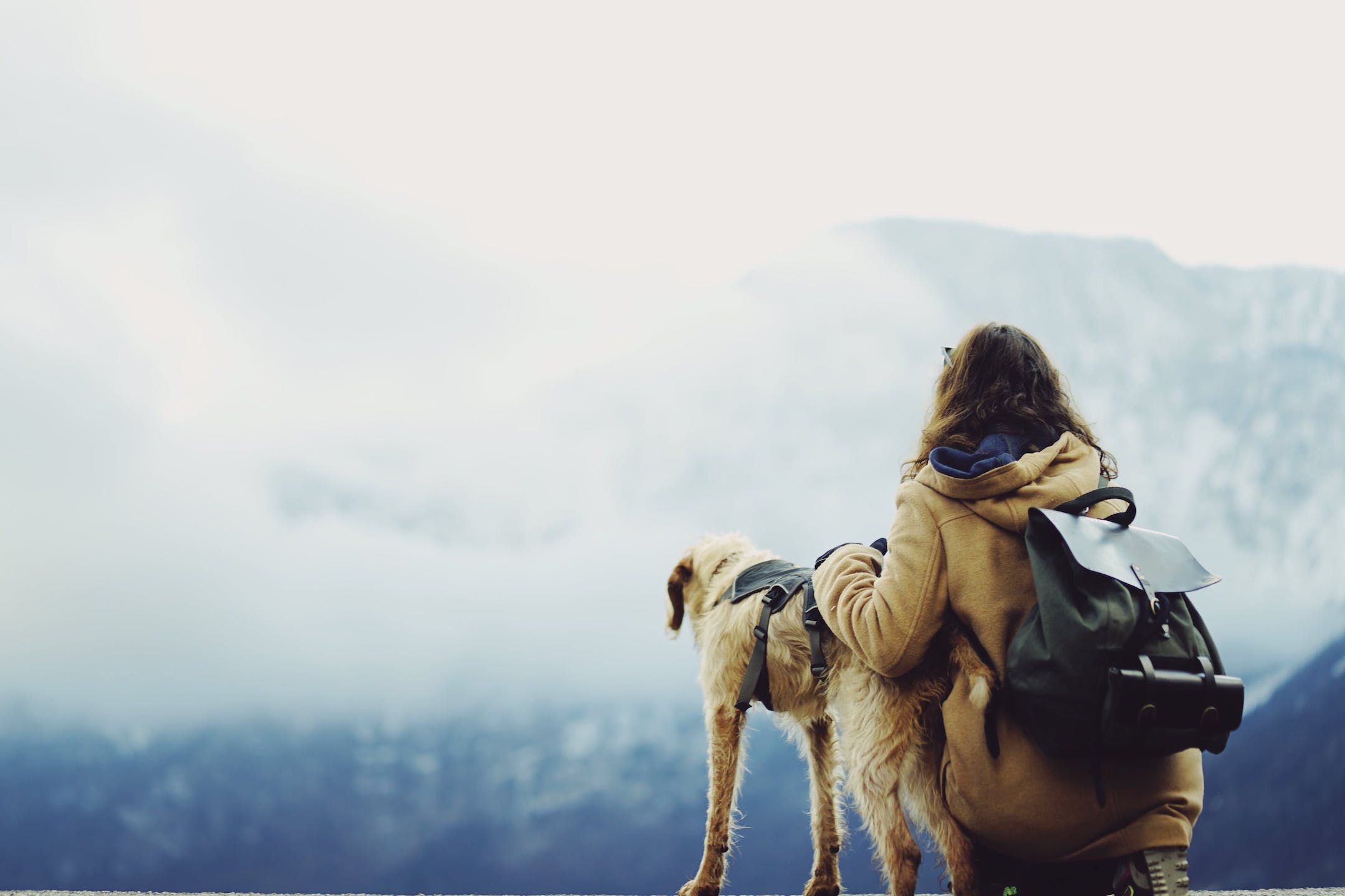 Frau genießt mit ihrem Hund die Aussicht auf einem Berg