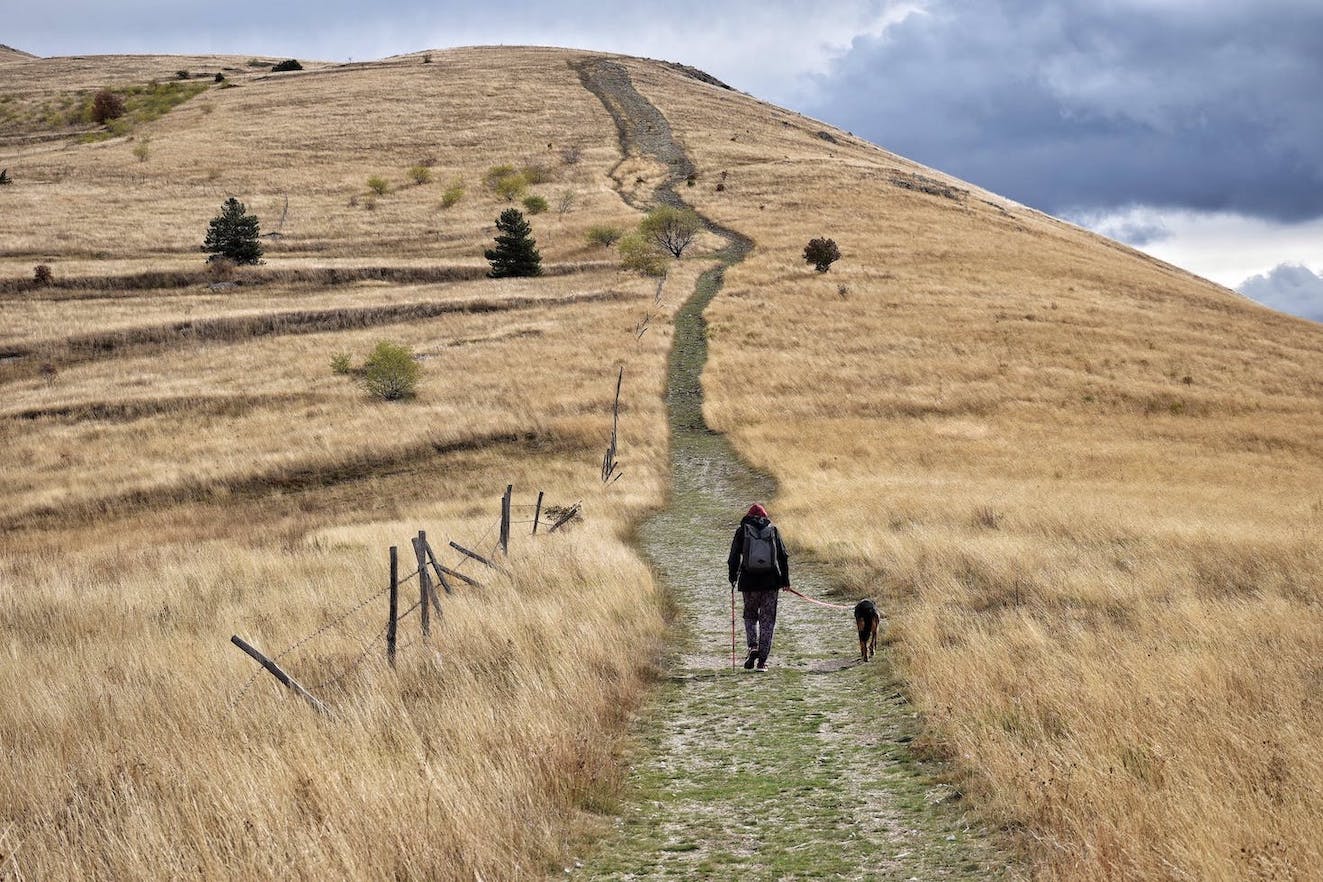 Mann mit Hund unterwegs auf einem Wanderweg