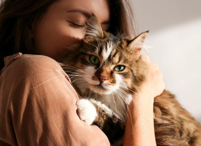 A woman hugging a cat