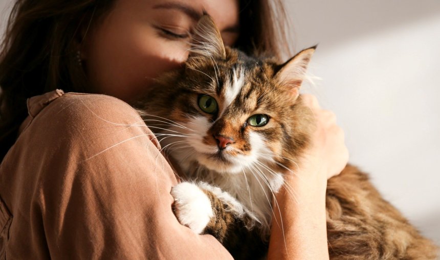A woman hugging a cat