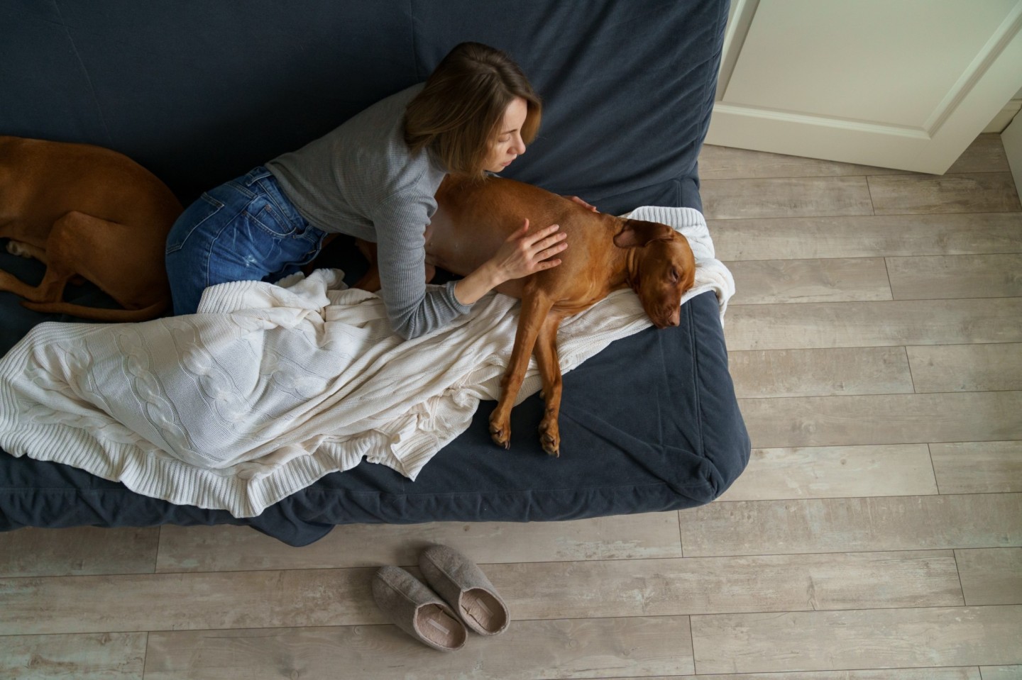 A woman comforting a sick dog on a couch