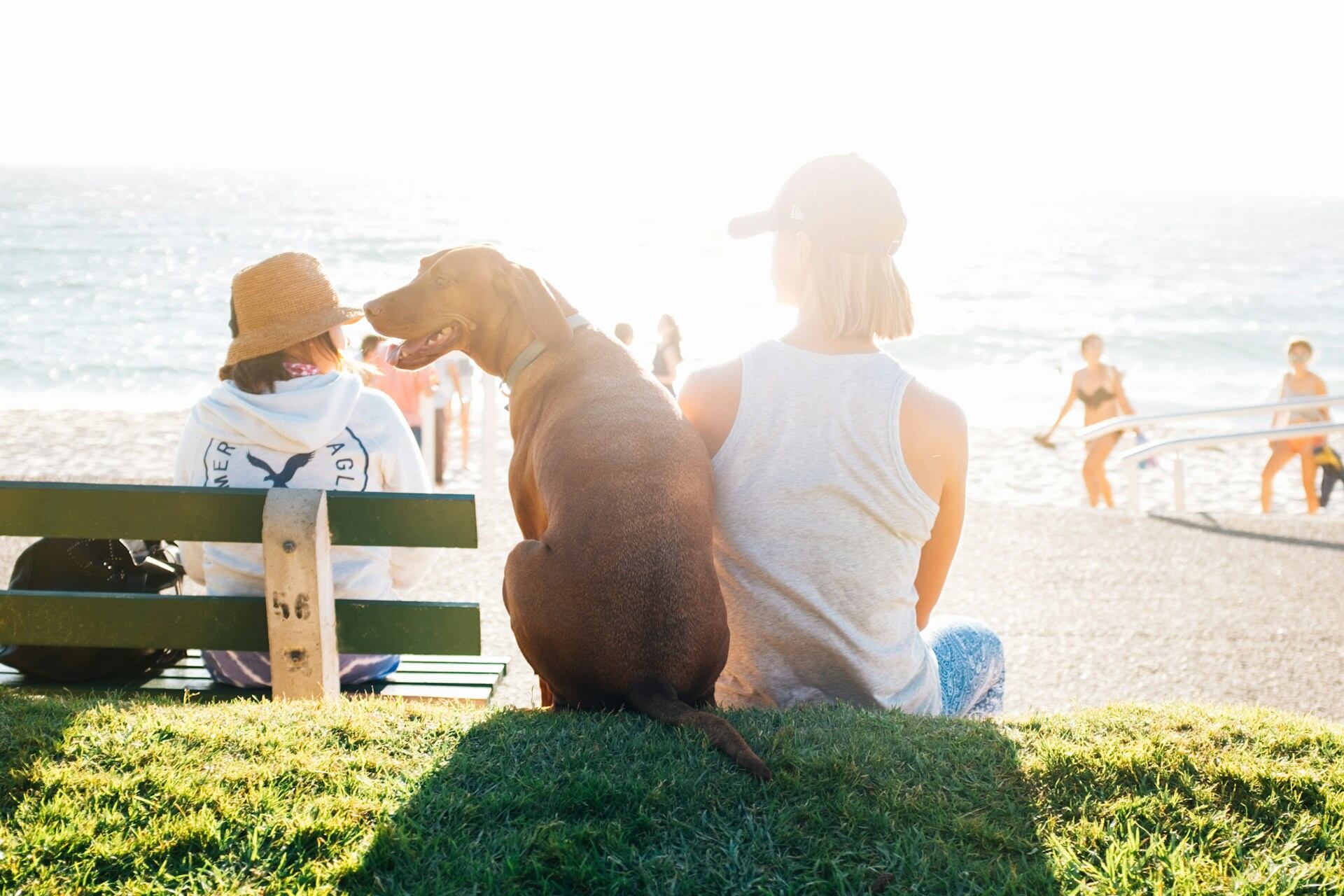 A woman and dog sitting together on the grass by a beach