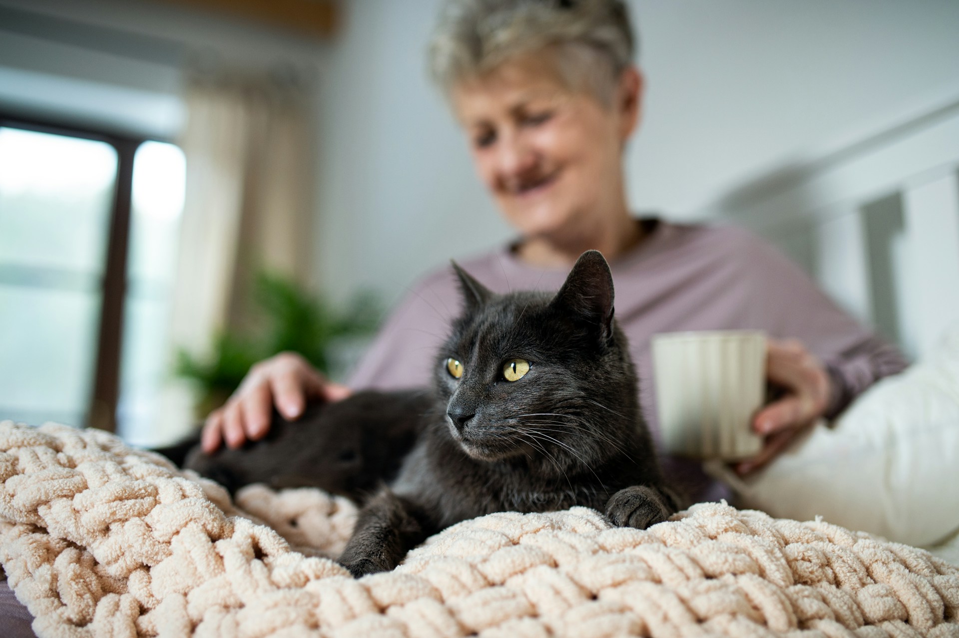 A black cat sitting with an elderly woman