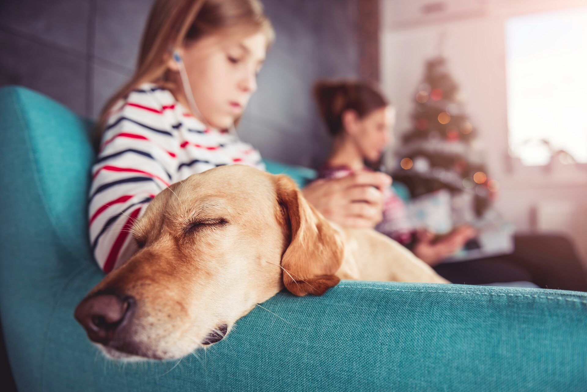 A dog napping on a couch next to a young girl and woman