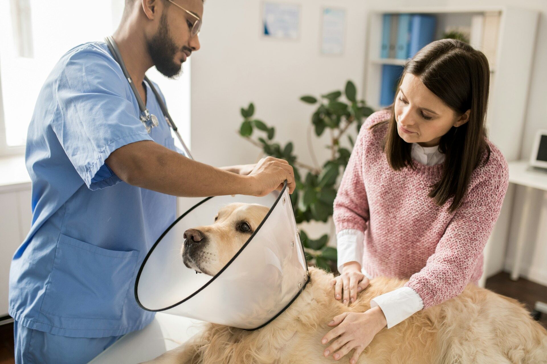 A woman at a vet's clinic watching vet attach a cone collar to her dog