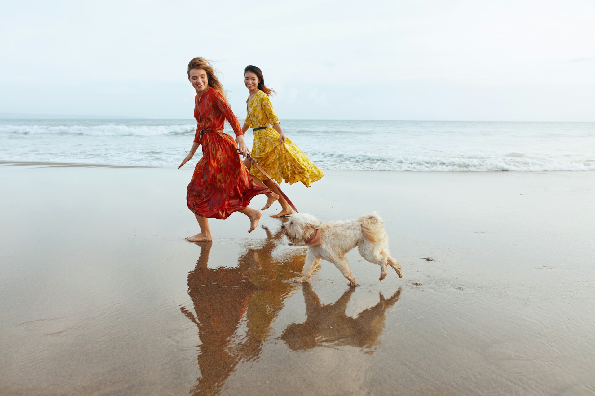 Et par kvinner som går tur med en hund i bånd ved sjøen