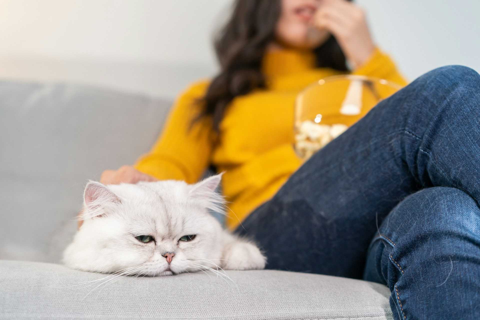 A depressed cat sitting on a couch next to a woman