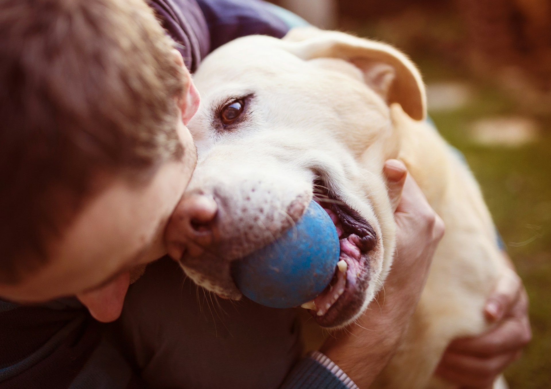 En mann leker med en hund som har en blå ball i munnen
