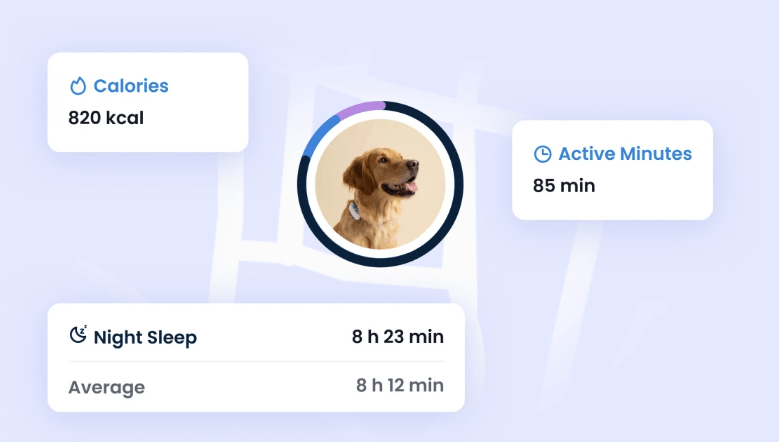 A dog's Health Monitoring data from the Tractive mobile app