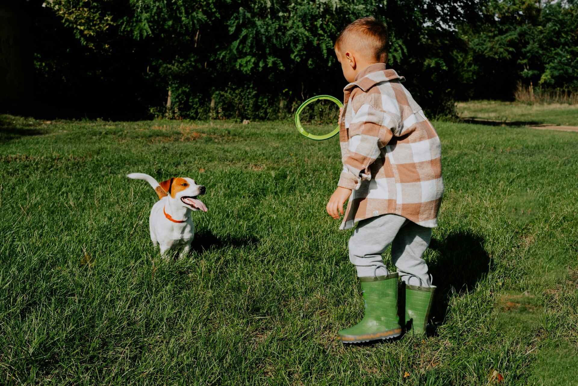 A little boy playing with a Jack Russell terrier in a garden
