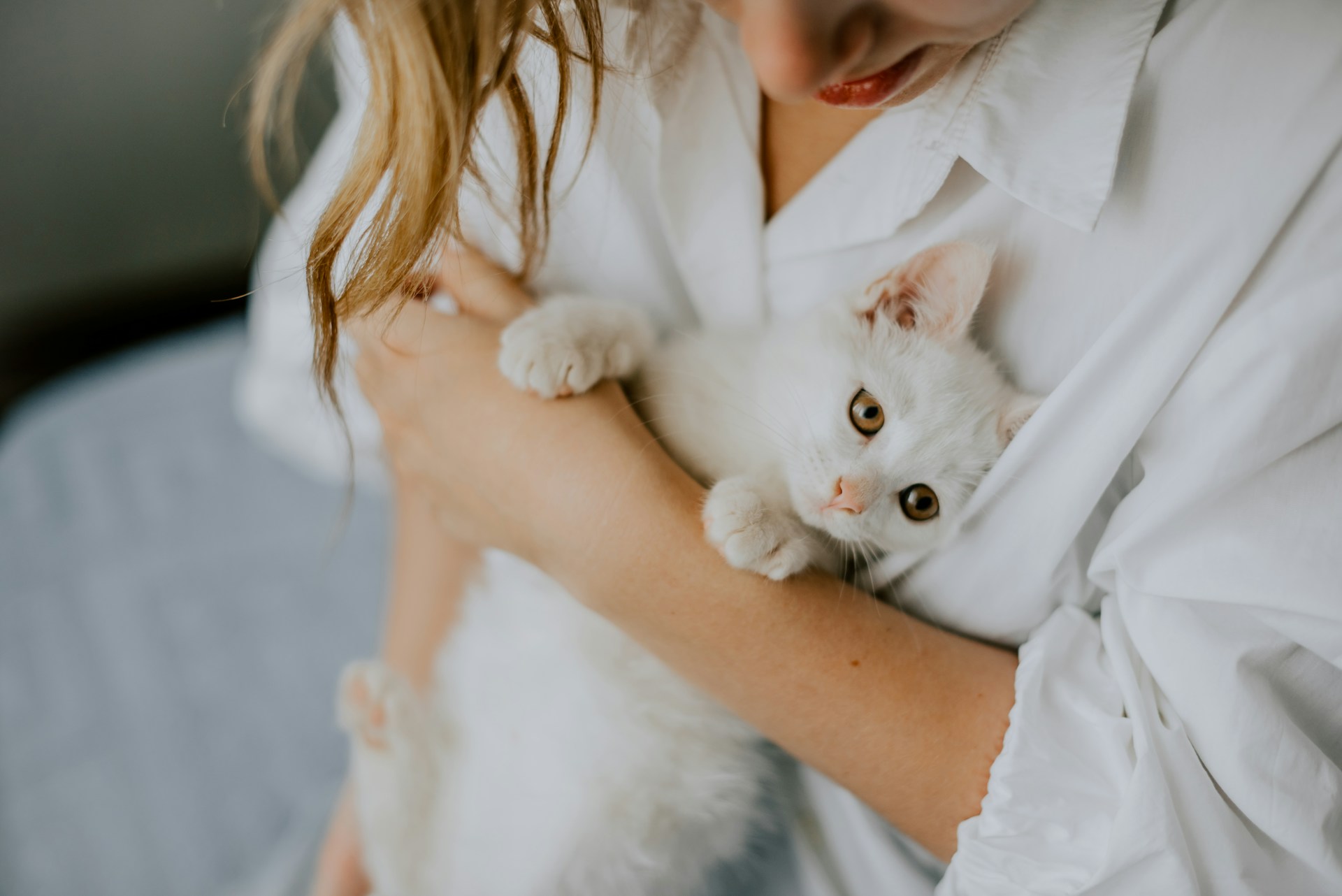 A woman hugging a white cat