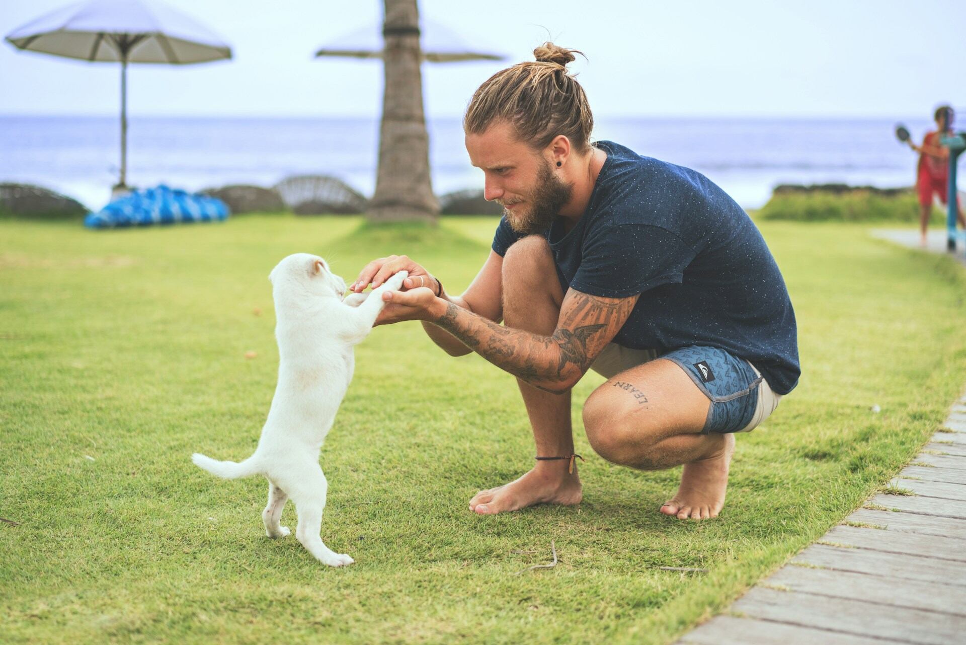 A man playing with a white puppy in a lawn by the sea