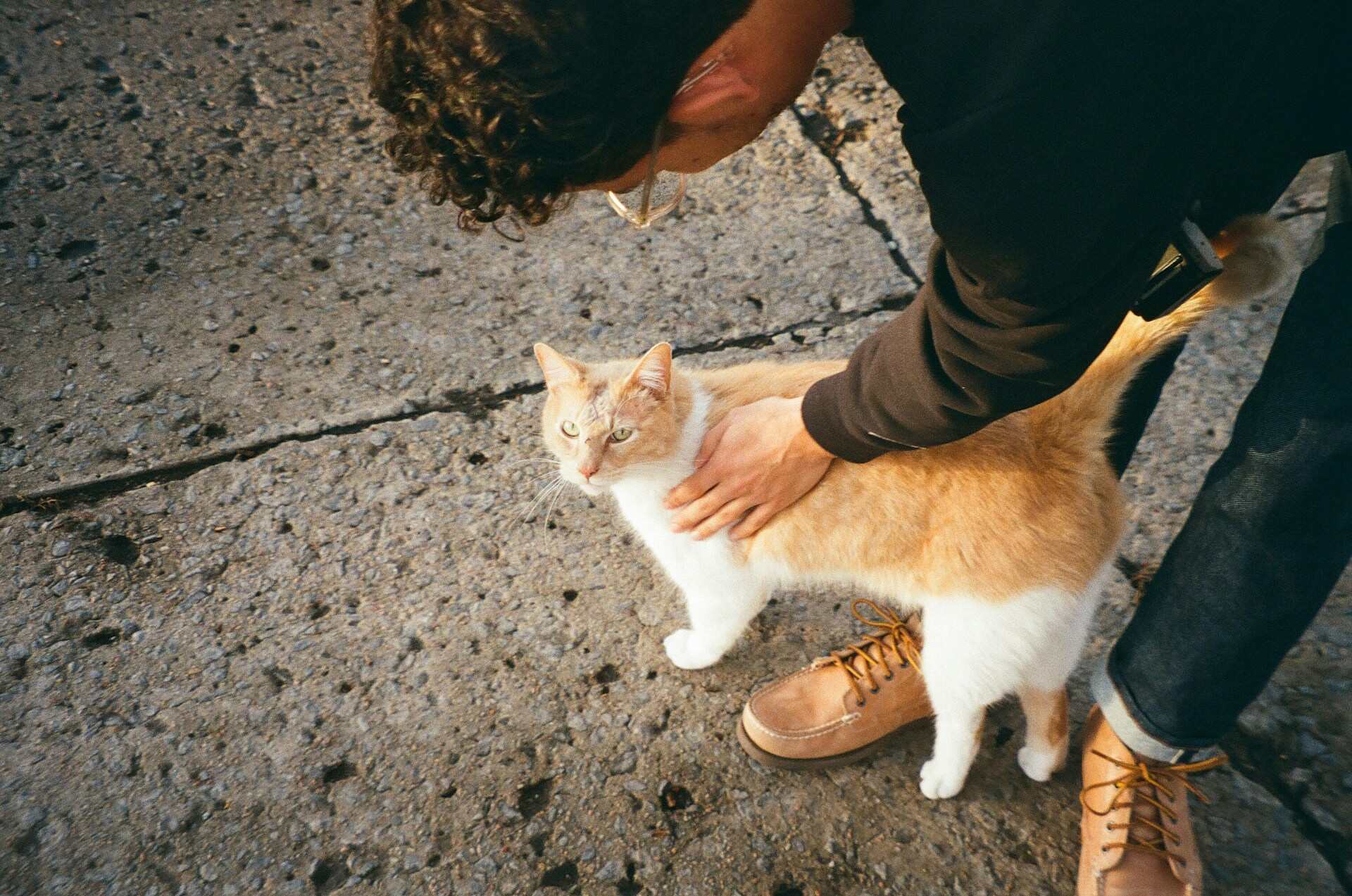 A man training his cat outdoors