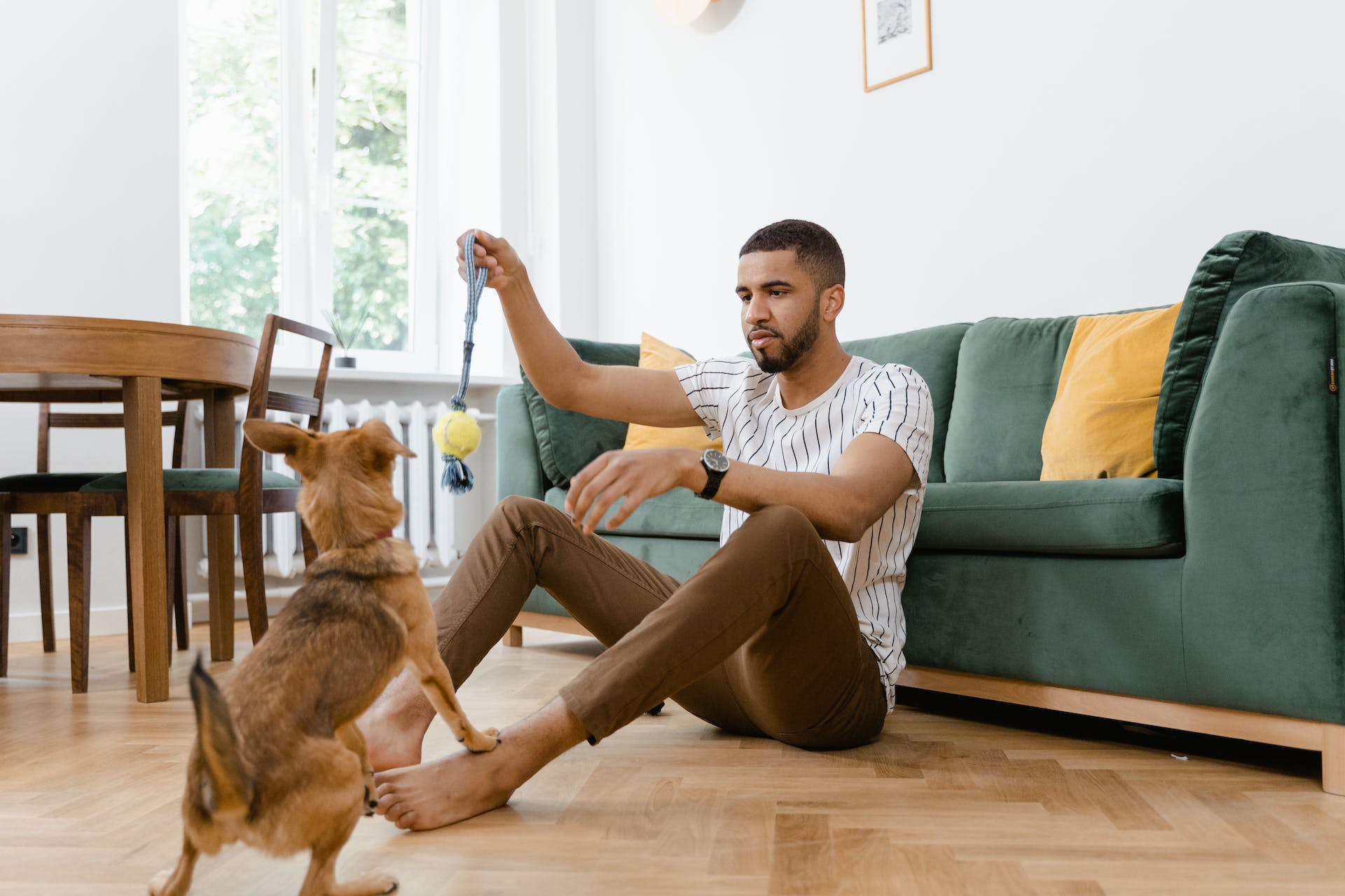 En mann sitter på gulvet og leker med hunden sin