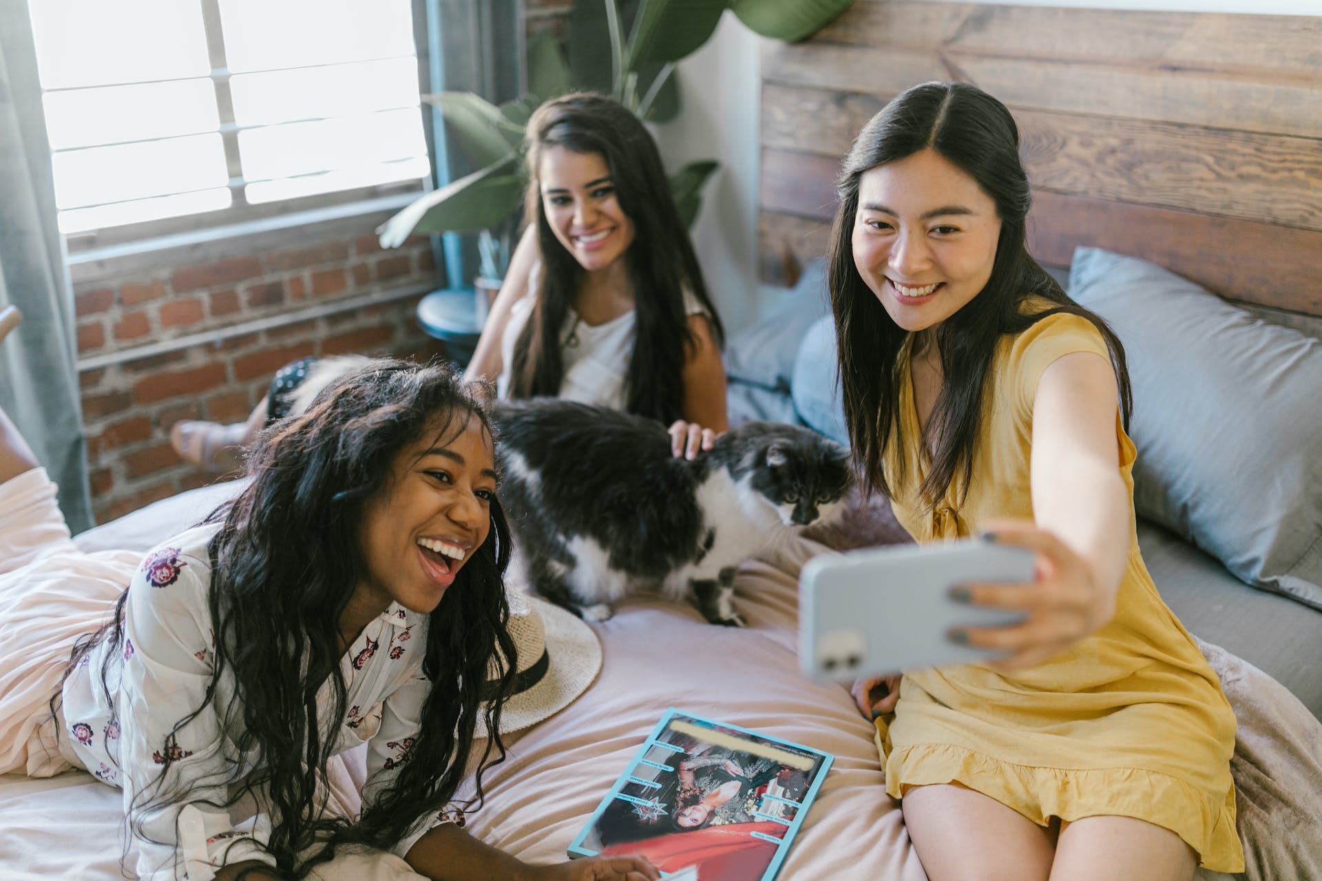 A group of three girls sitting on a bed taking a selfie with a cat