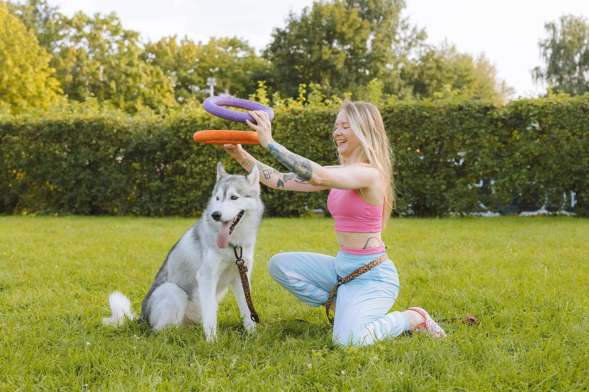 Een vrouw en een hond spelen met rubberen hoepels in een achtertuin