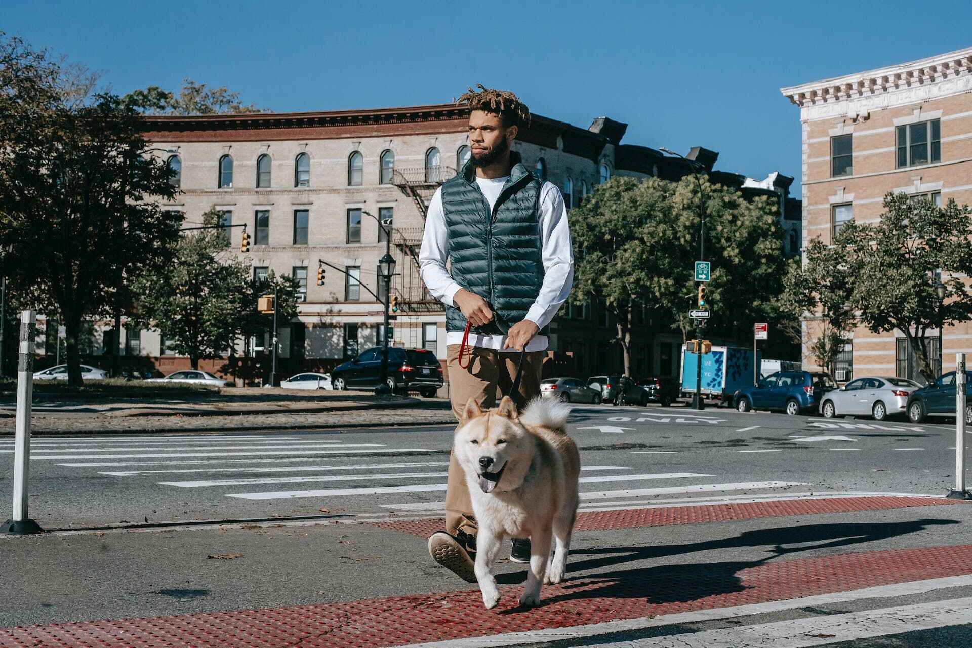 A man crossing the street with his dog
