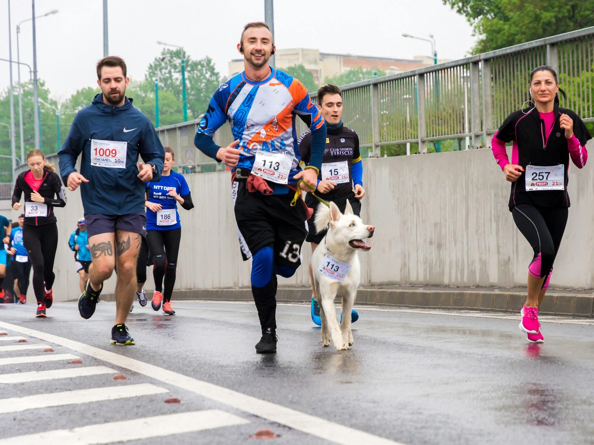 A group of marathon runners jogging down a street along with a dog