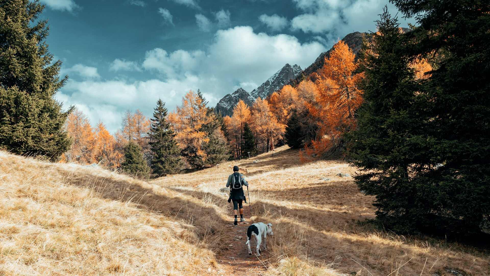 A man hiking in the woods with his dog