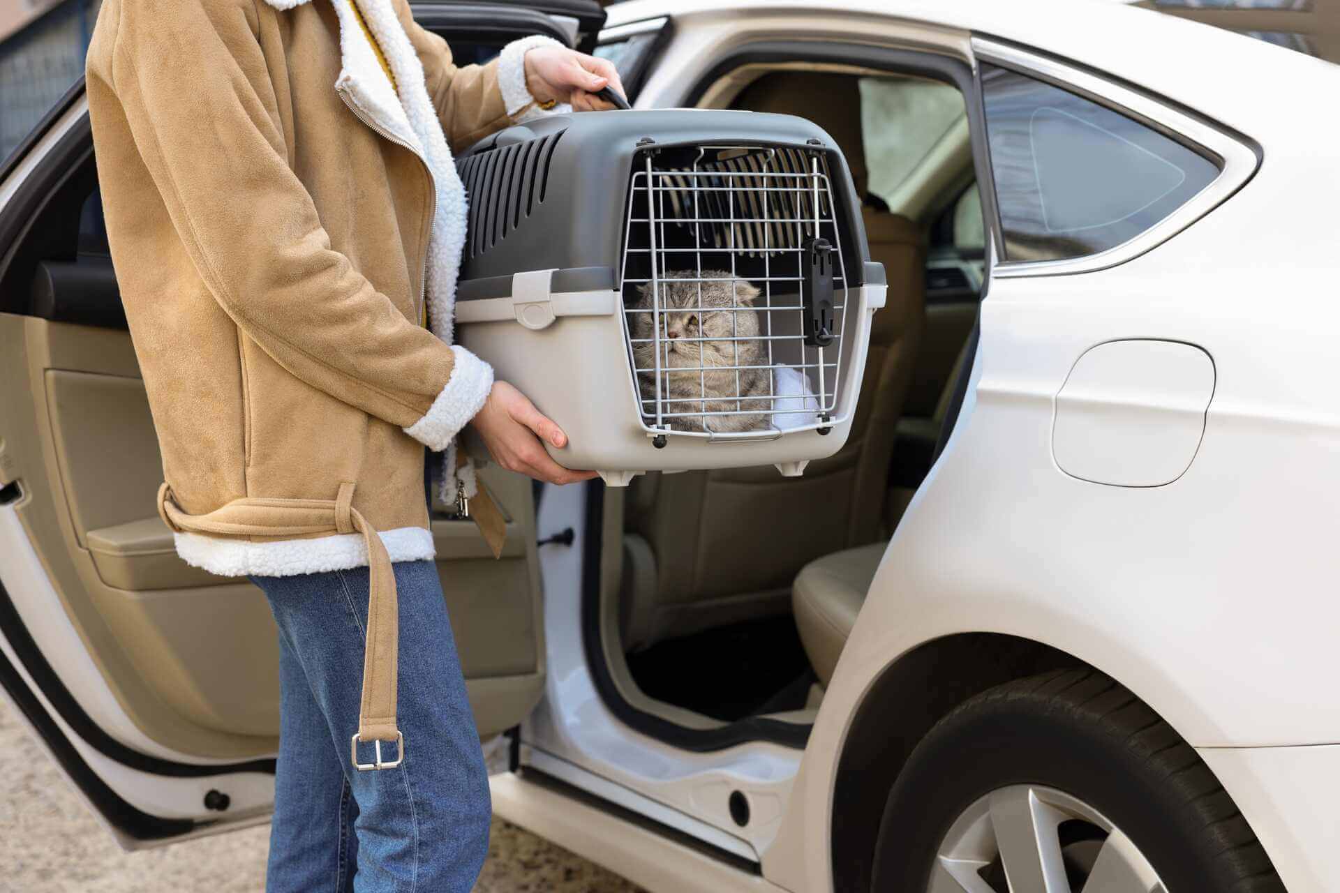 A man placing a cat in a carrier in the back seat of a car