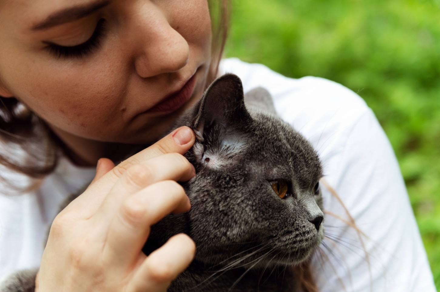 A woman checking her cat's ears for ticks