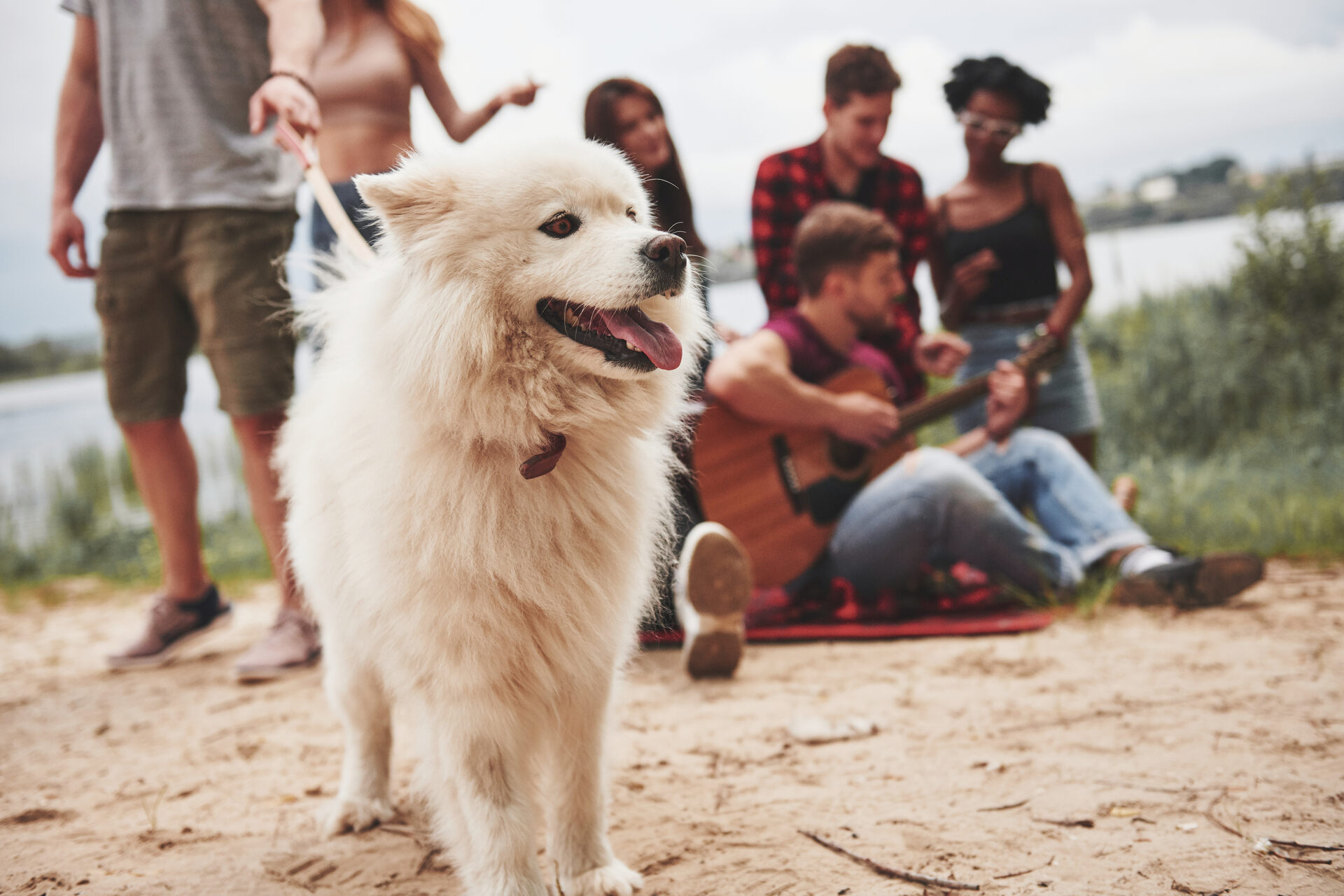 A white dog spending time with a group of friends outdoors