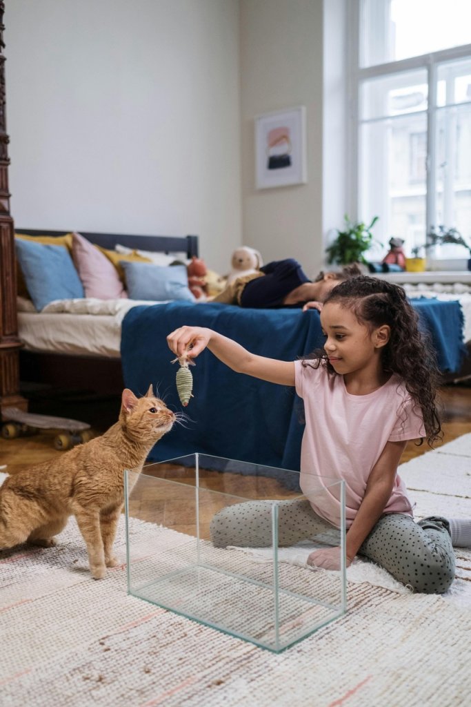 Flicka som leker med en katt inomhus
