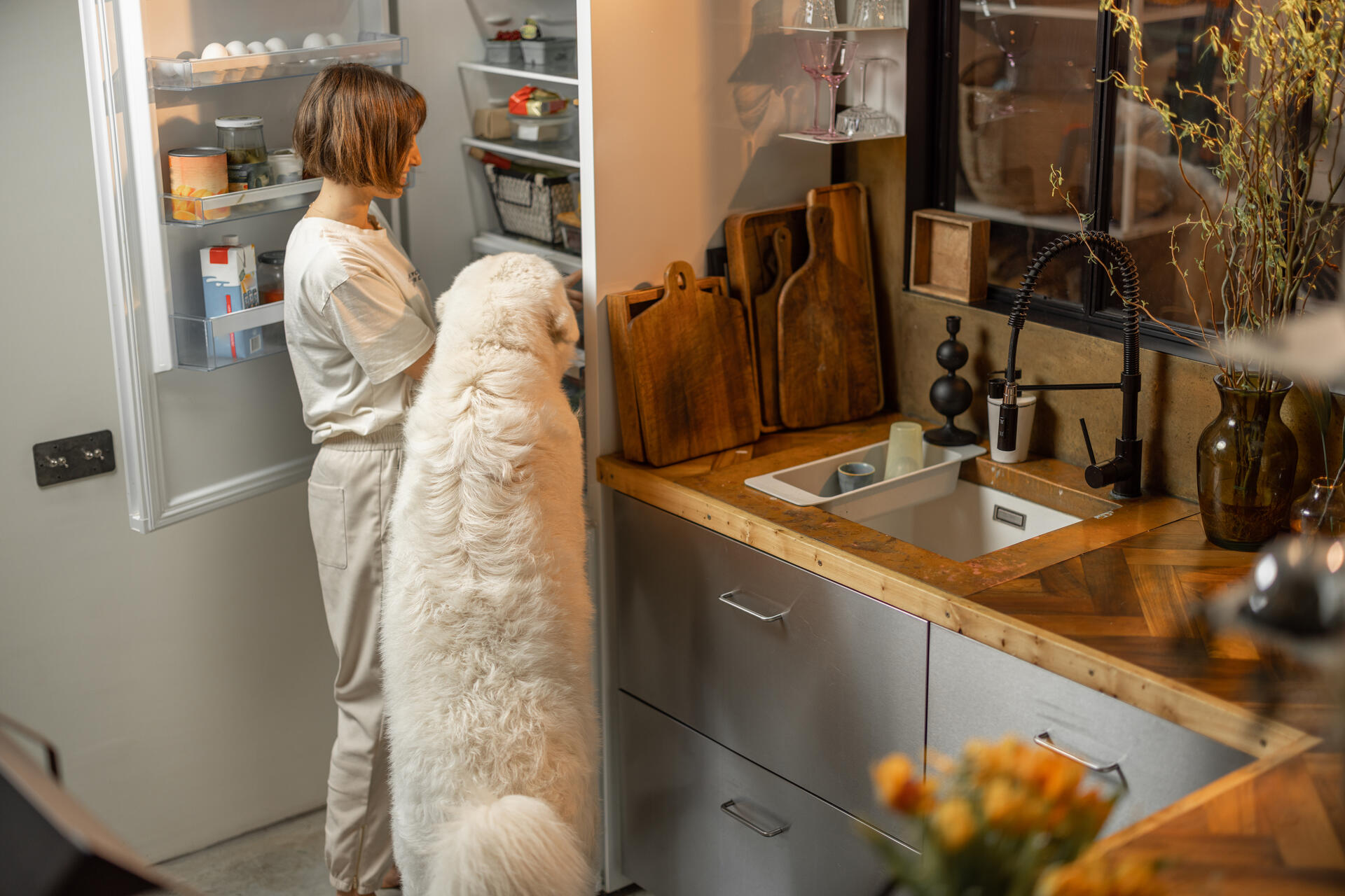 A woman and dog inspecting a fridge