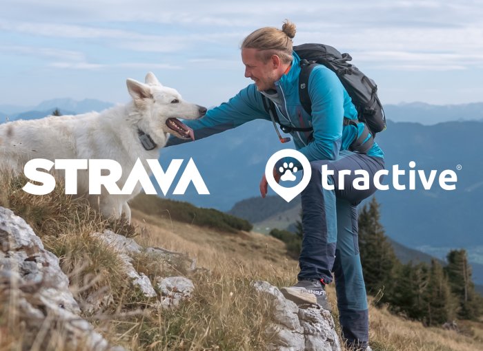 Hundebesitzer streichelt seinen Hund mit Tractive GPS Tracker am Berggipfel