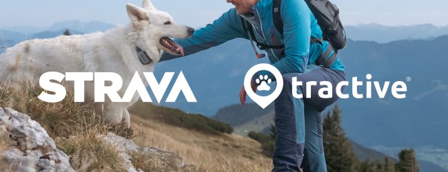 dog owner petting his dog on top of a mountain