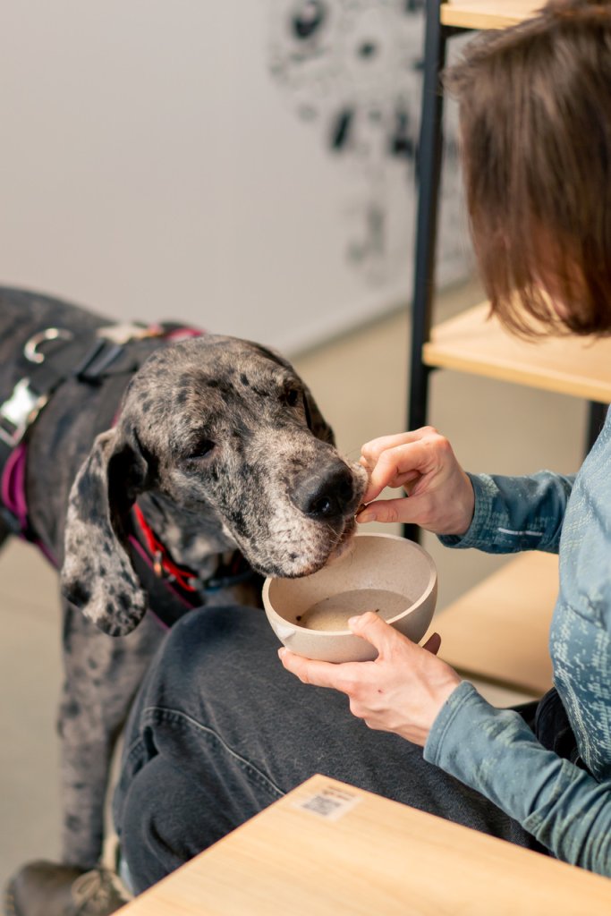 A woman feeding a dog from a bowl