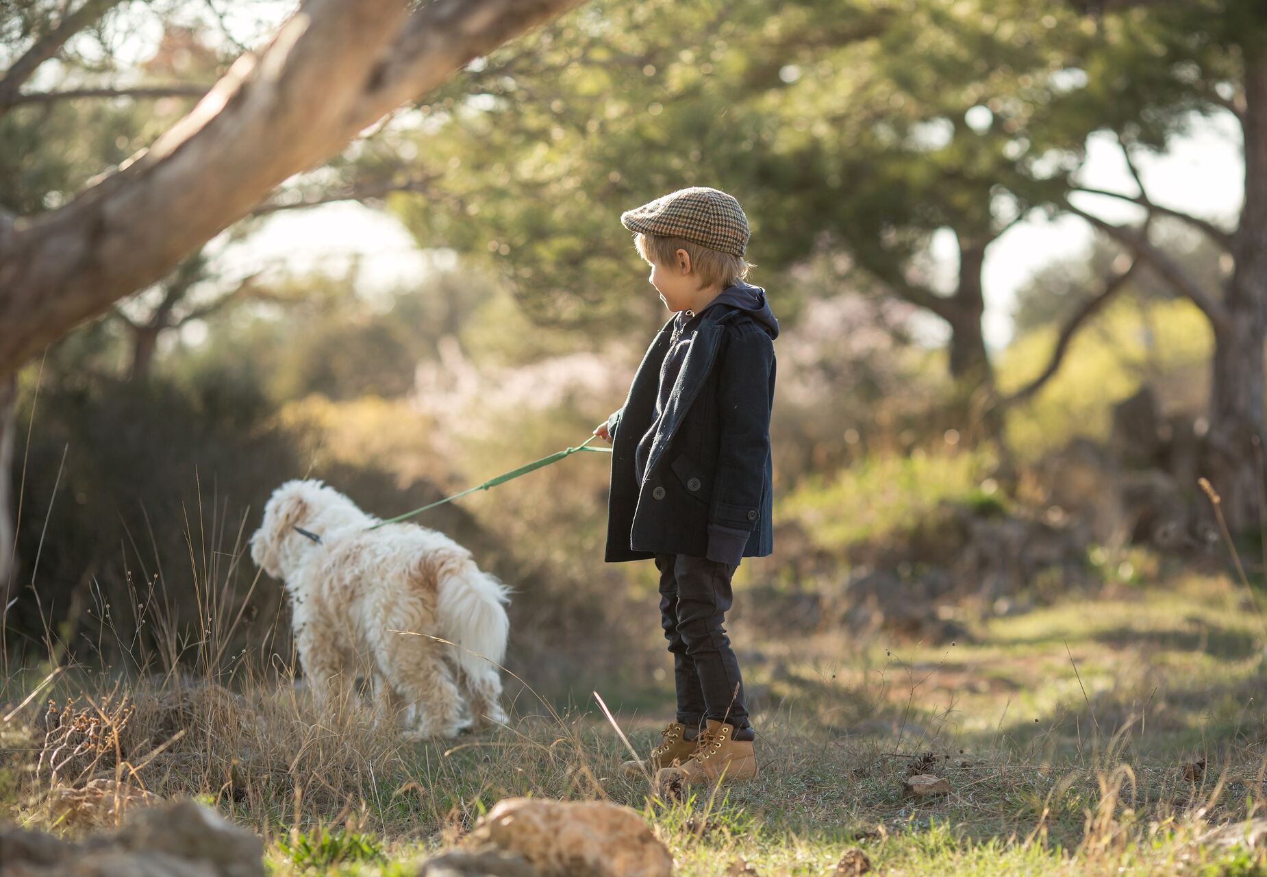 A child walking a dog in a forest