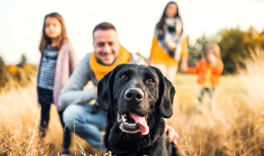 A family in a field with a black Labrador
