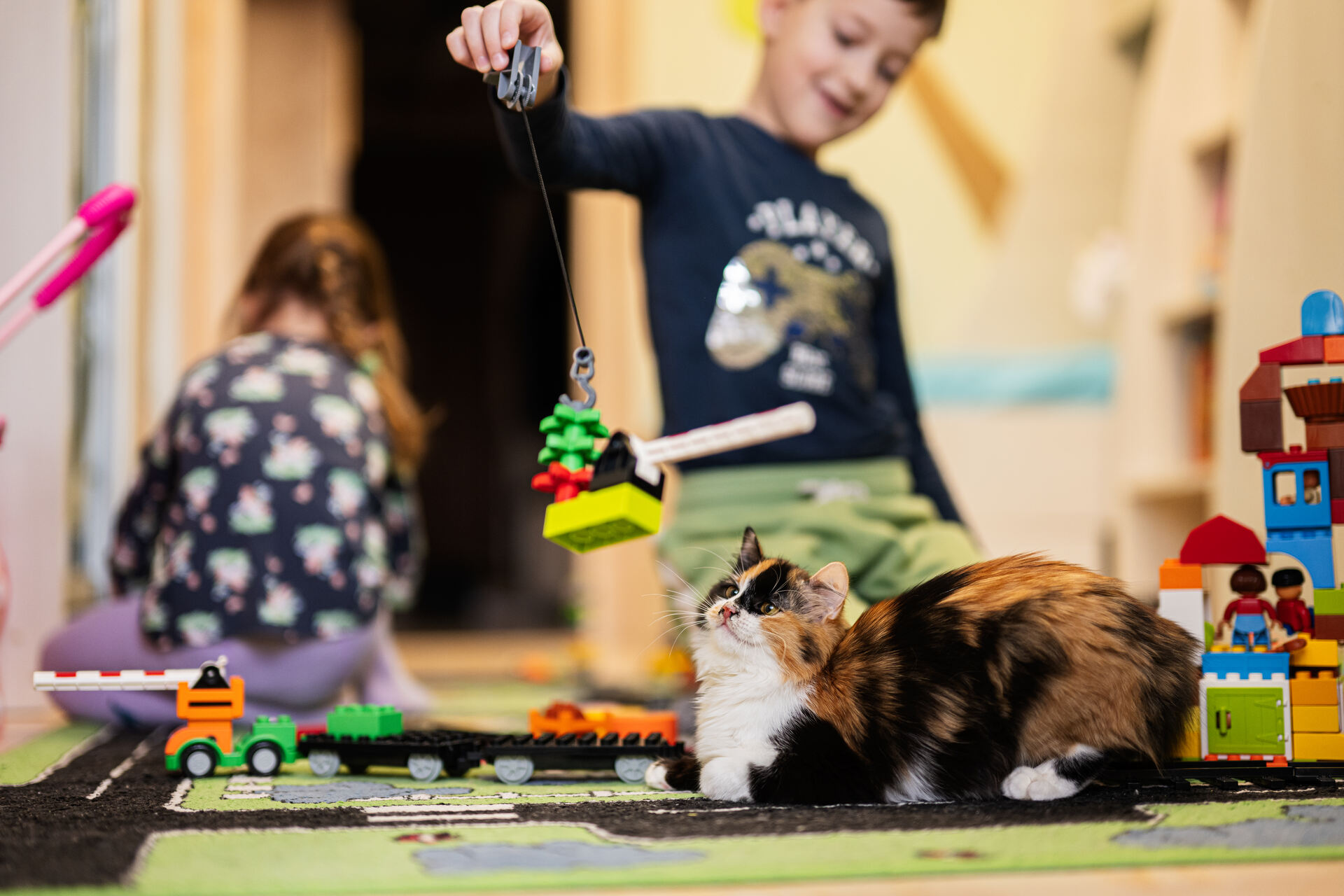 A young boy swinging a toy in front of a cat