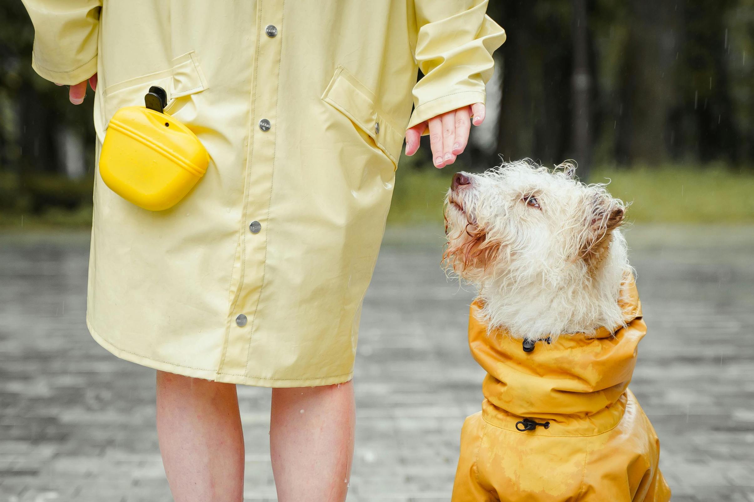 Frau steht im gelben Regenmantel neben Hund, der ebenfalls eine Regelnjacke trägt